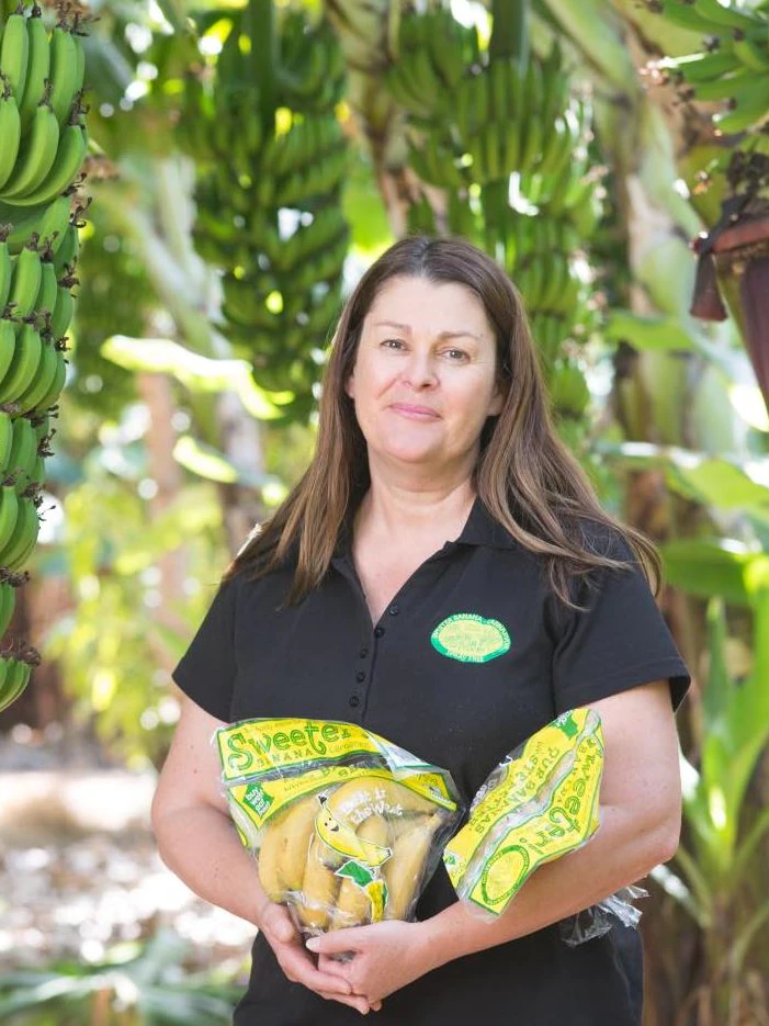 Why soil health is cherish steady gut health when it involves rising bananas