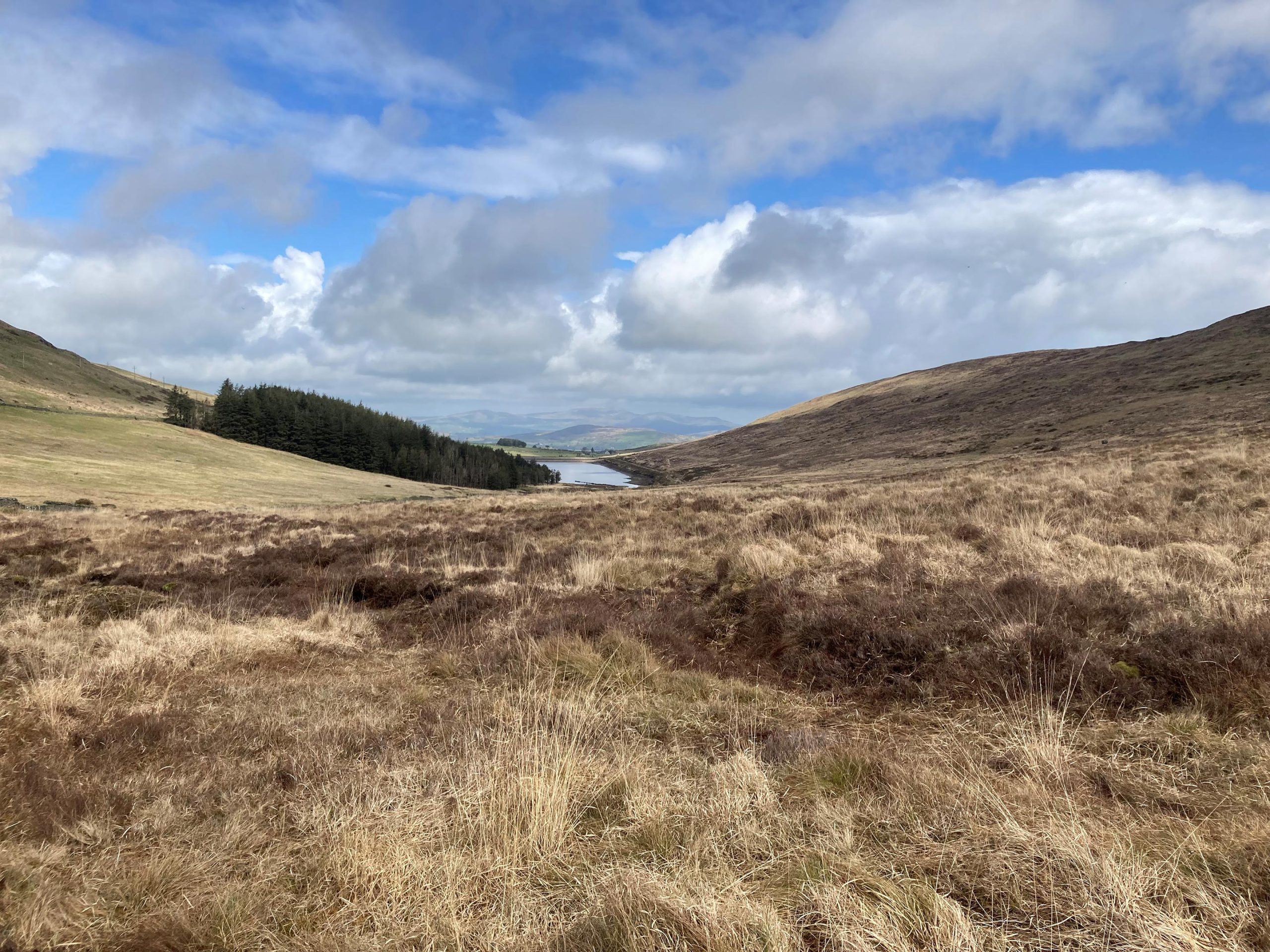 Distant Neighborhood in Eire Survived a Millennium of Environmental Commerce