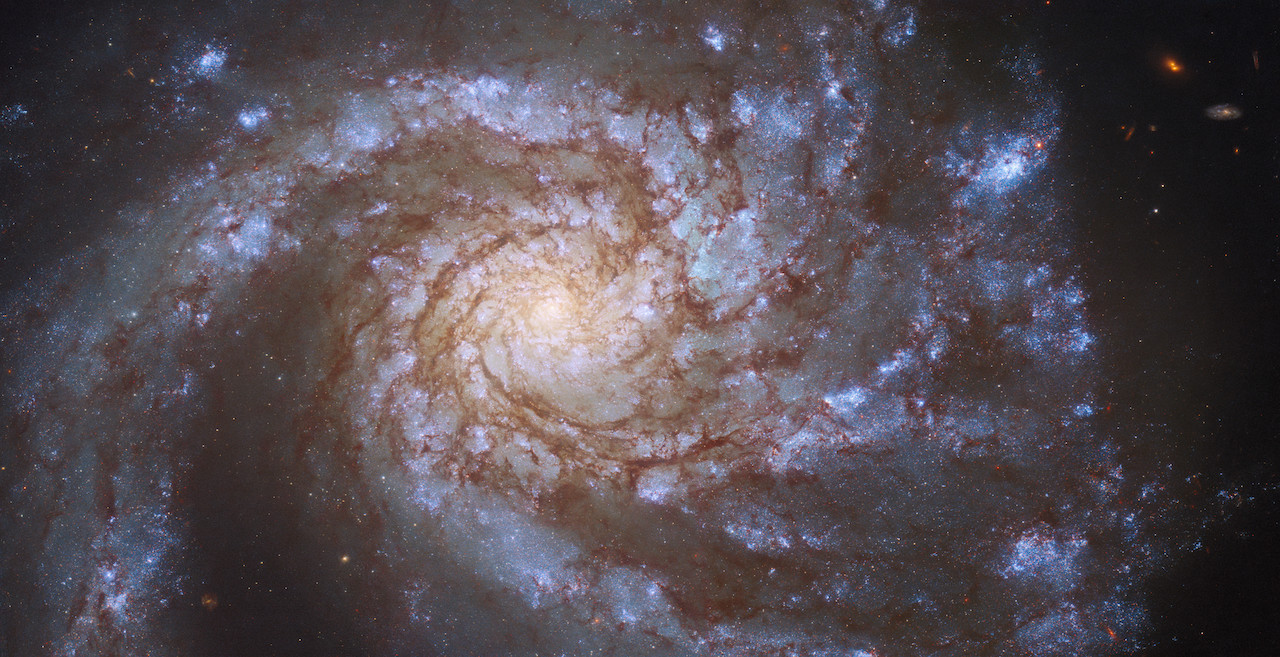 Hubble Dwelling Telescope spots ‘great create’ galaxy in perfect contemporary image