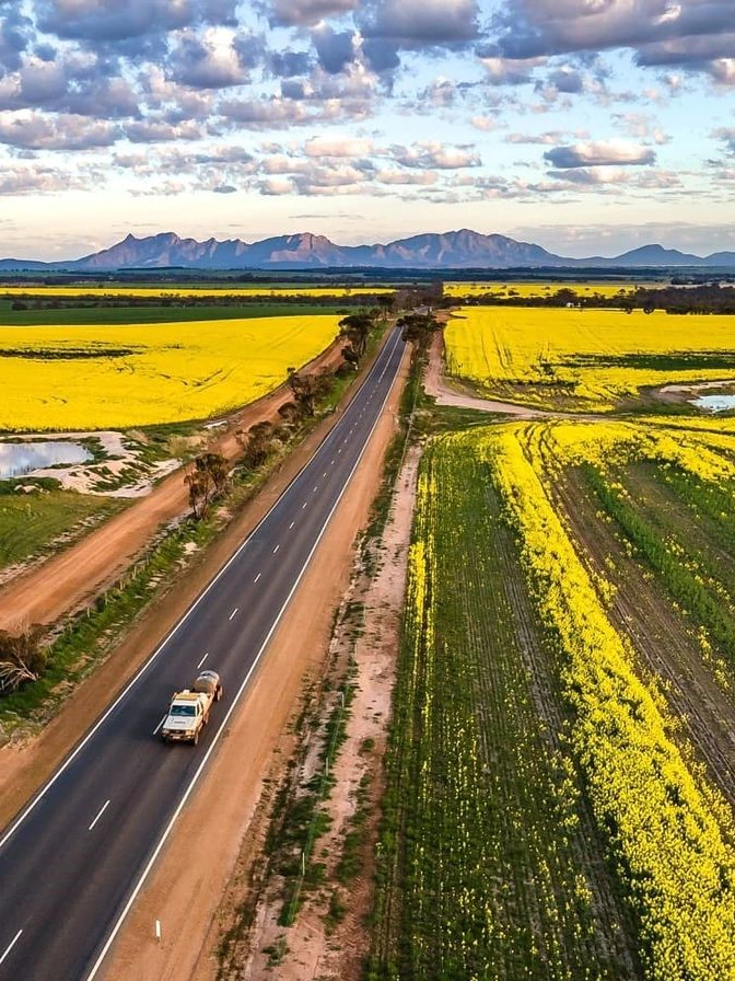 Farmers name for ACCC inquiry to address rising grain label gap