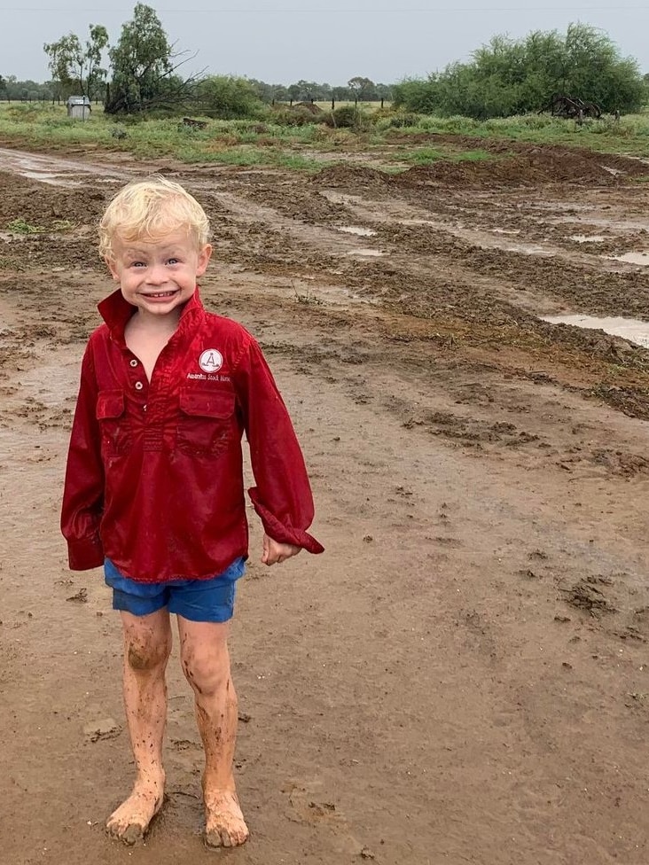 Outback optimism: 2nd soaking brings bush a step nearer to whole of decade-lengthy drought