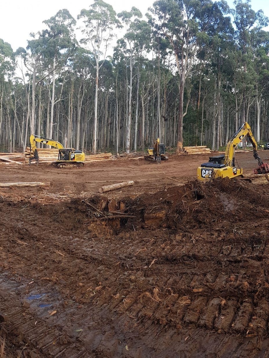 Wombat Woodland super-up makes extra mess, activists command