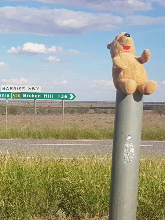 Endure needed: Treasured teddy rescued from outback after dad’s commute photo blunder