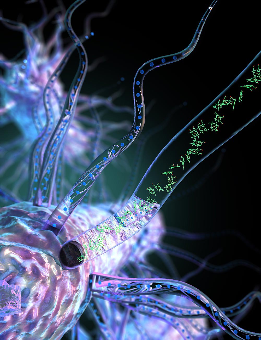 Shocking Bacterial Nanowire Discovery Also can Lead to Living and Self-Repairing Electrical Circuits