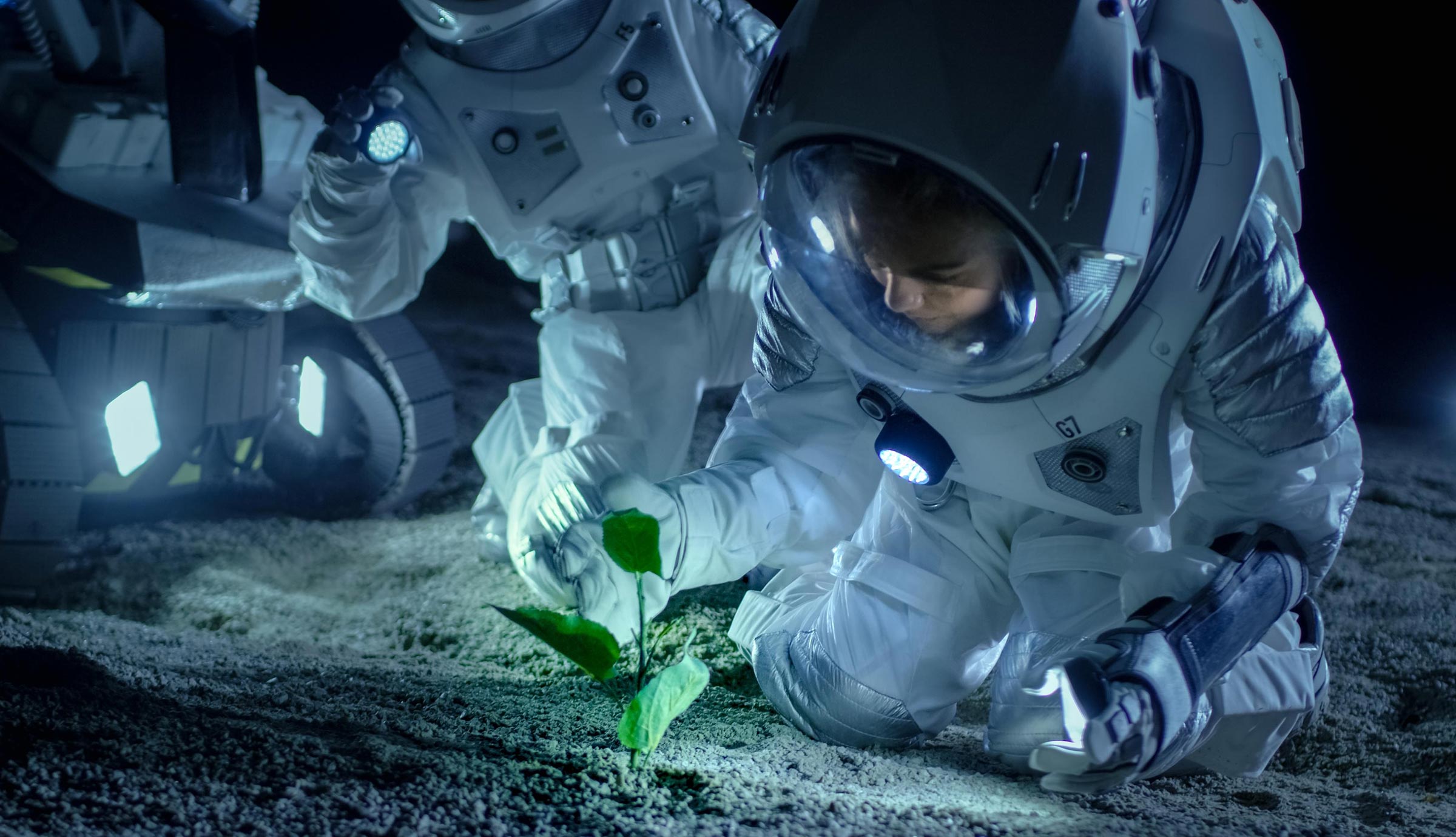 Scientists Develop Plant life in Moon Soil – A First in Human History