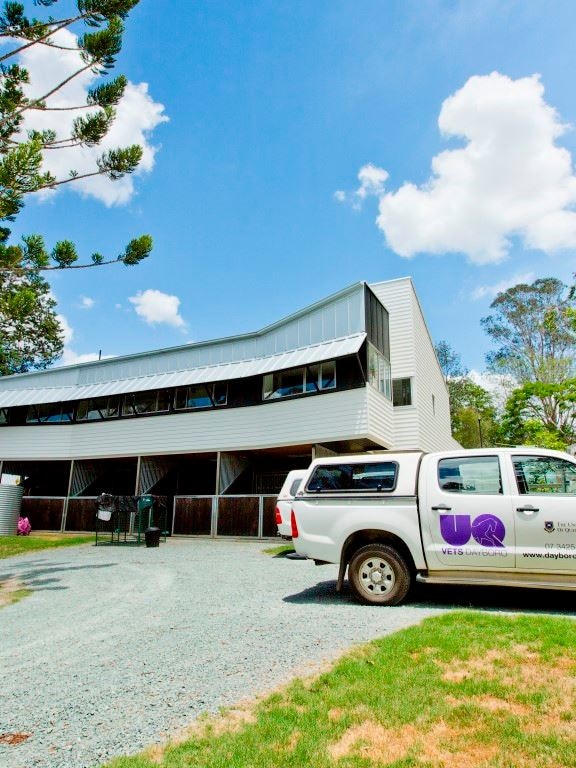 College of Queensland confirms plans to tear away Dayboro vet medical institution, seeks unique operator