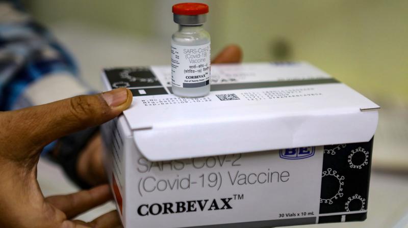 Corbevax COVID-19 vaccine ticket slashed to Rs 250 per dose