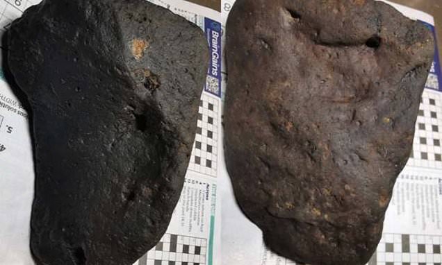 Bloke makes an astonishing discovery within an Australian creek – so what is it? – Day to day Mail