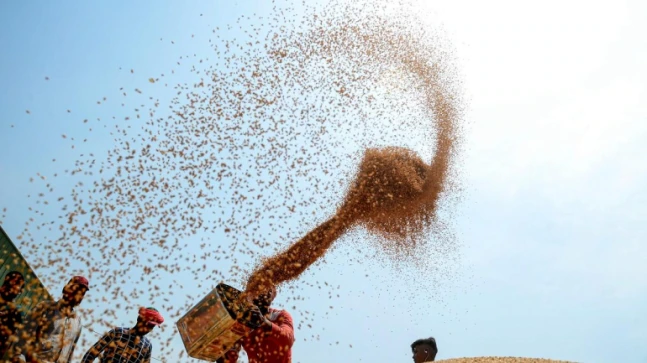 Centre eases restrictions on wheat exports, lets via shipments registered sooner than Could presumably well 13