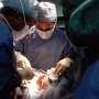 The timing of coronary heart surgical draw is crucial, evaluation reveals