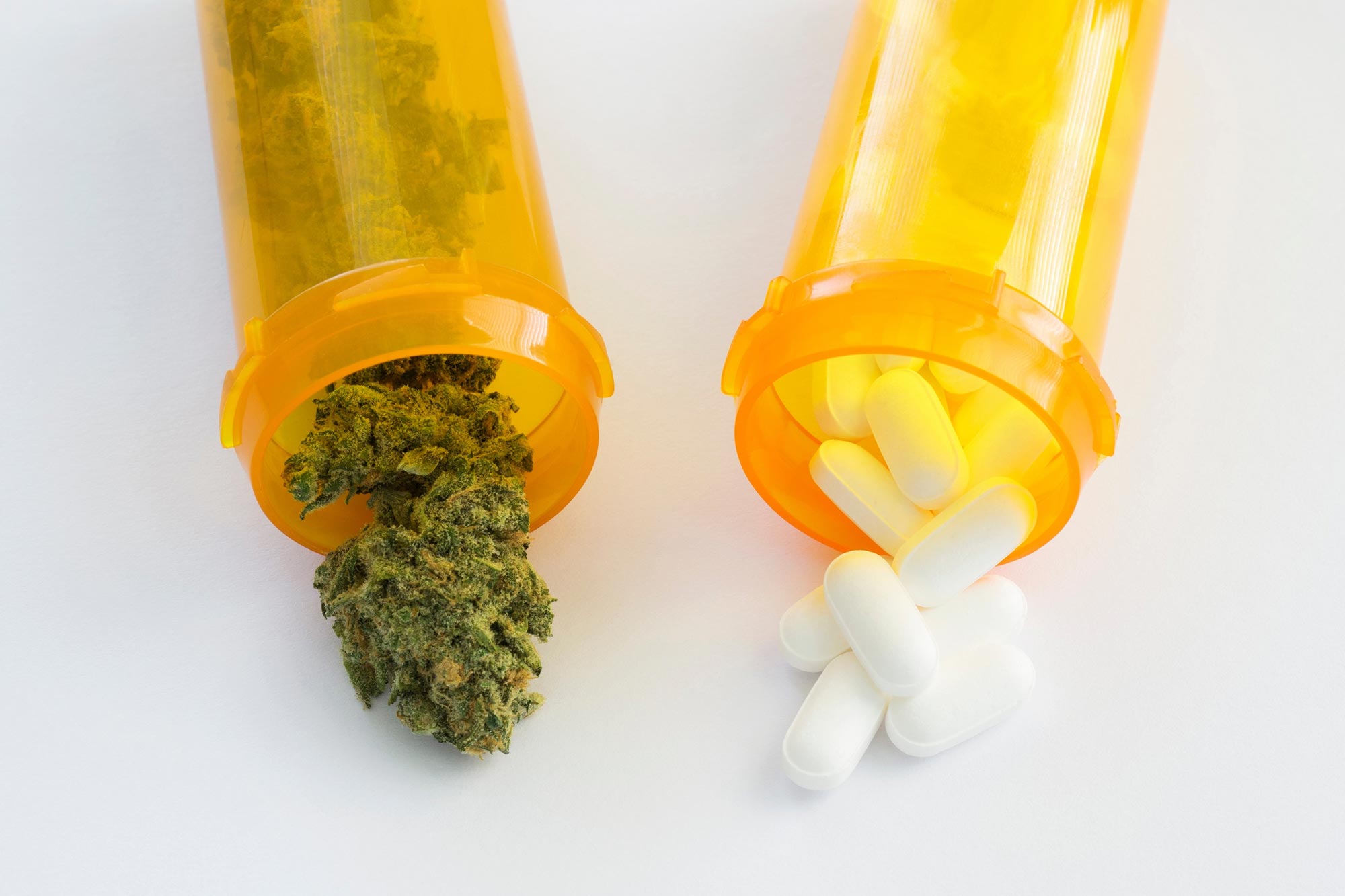 Medicinal Cannabis Reduces Wretchedness and Need for Opiate Painkillers Among Cancer Sufferers