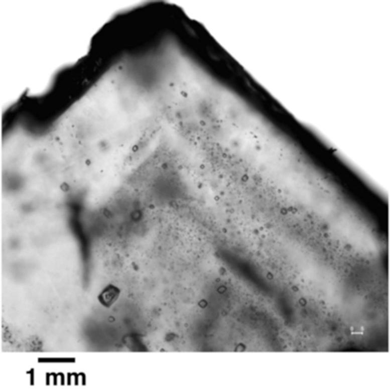 830-Million-Year-Accepted Microorganisms Found in Old Crystals – Implications for Survey Extraterrestrial Existence