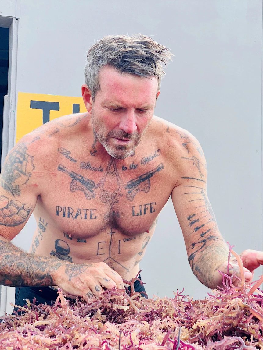 From an ‘underwater garden’ Ash is harvesting seaweed to change into lollies