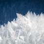 Researchers demonstrate natural crystals may maybe maybe lend a hand as vitality converters for rising technologies