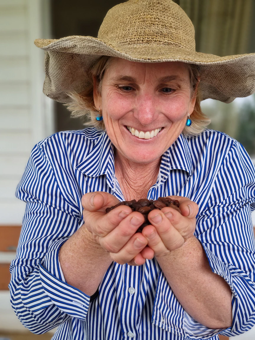 These tiny brown jojoba seeds withhold some mighty colossal dreams for this Narrabri farmer