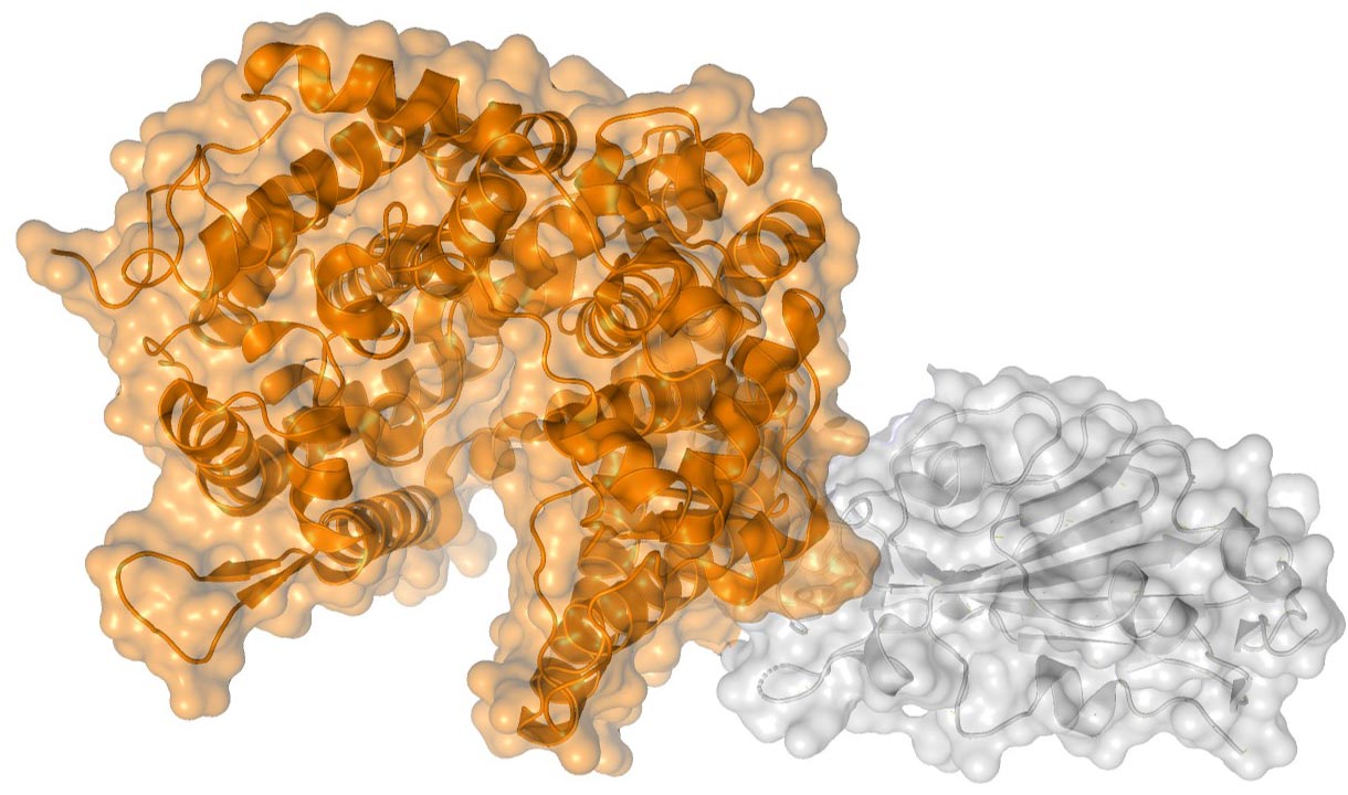 How Three Mutations Work Collectively To Spur New COVID-19 Variants