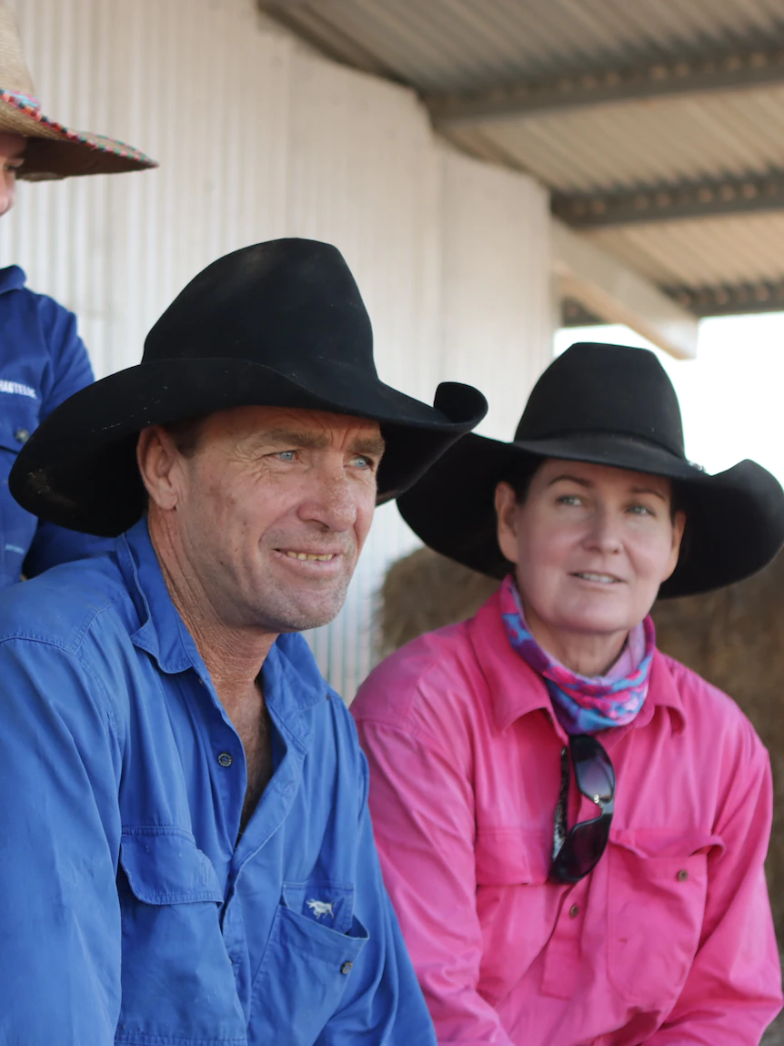 These cattle farmers effort they’re in the firing line of the bustle to renewables