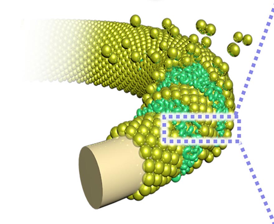 Electrode Fabricate Paves Plan for High-Performance Hybrid Biofuel Cells