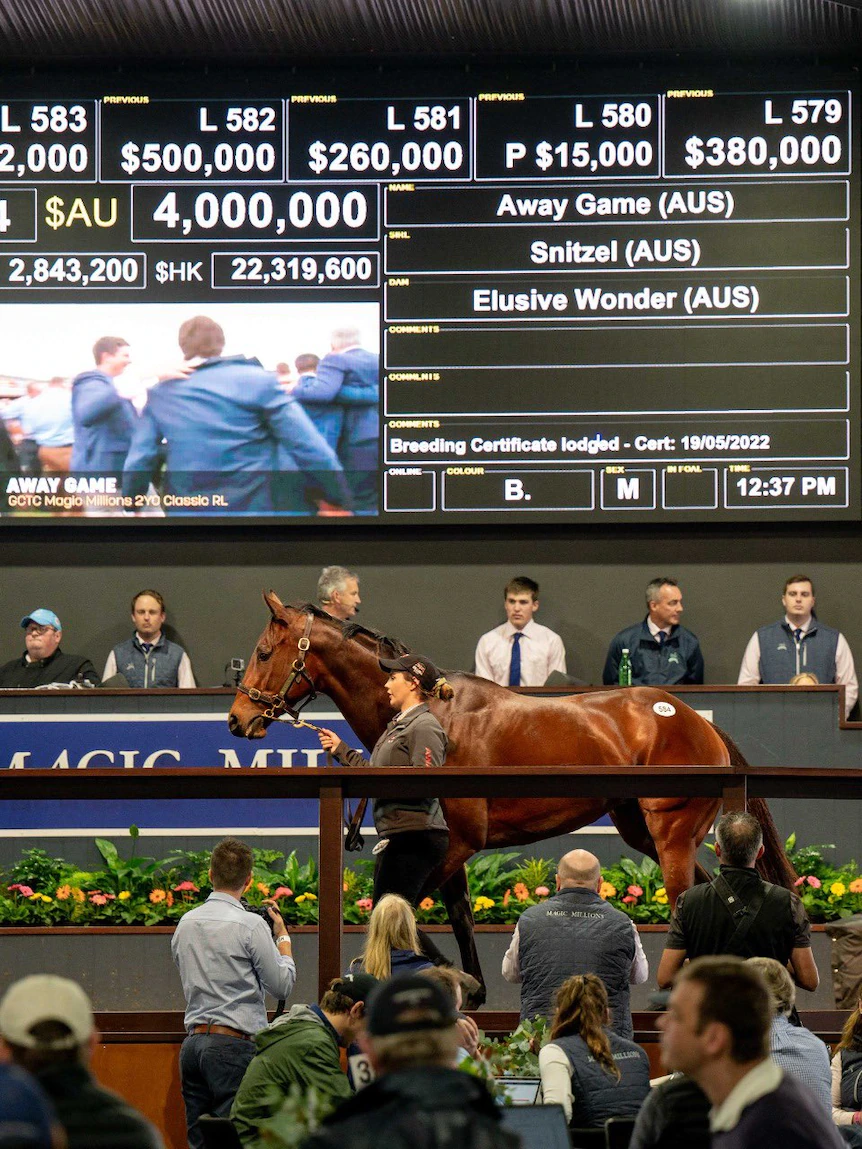 Dream imprint for a mare: Away Sport sells for $4 million