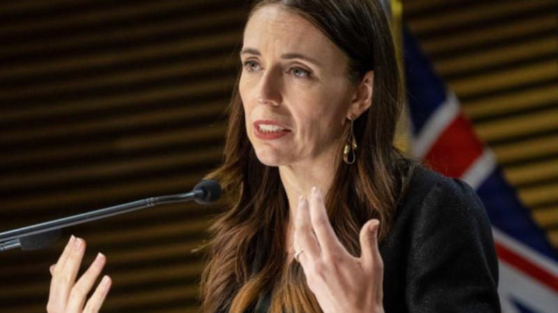 Aust Greens fetch power-sharing pointers from NZ