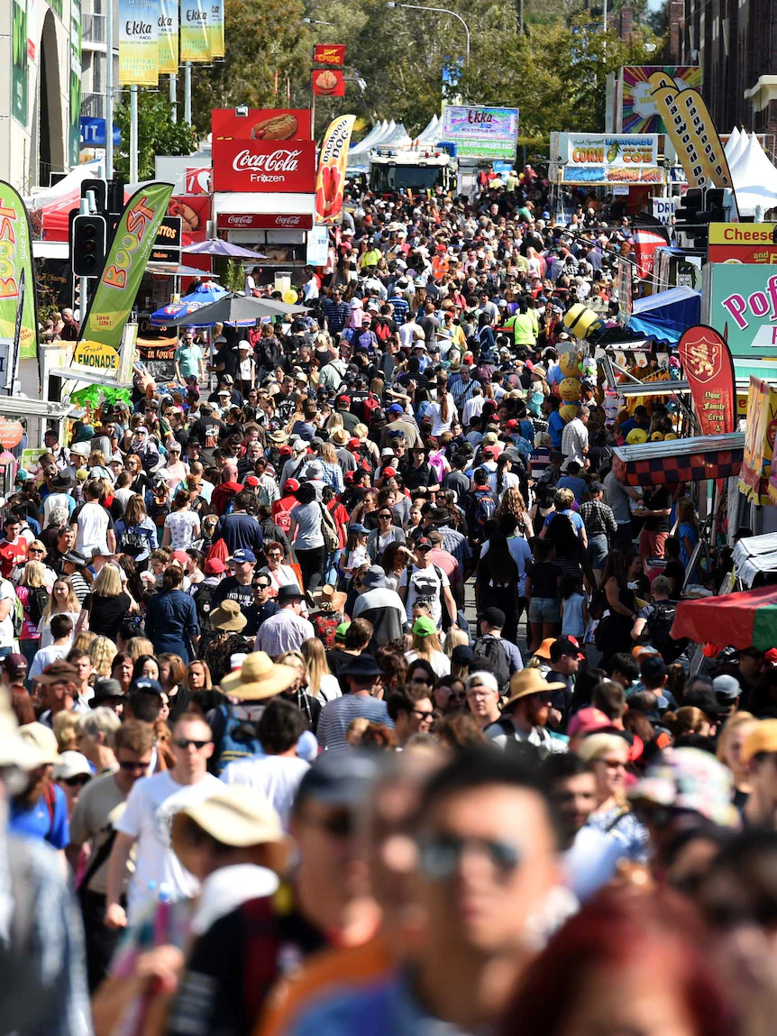 Cherished Ekka plan to reach abet as entries pour in for Royal Queensland Demonstrate