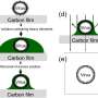 Fresh non-radioactive, fair reagent unearths viruses namely detail