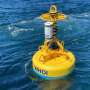 Robotic buoys developed to withhold Atlantic good whales safe