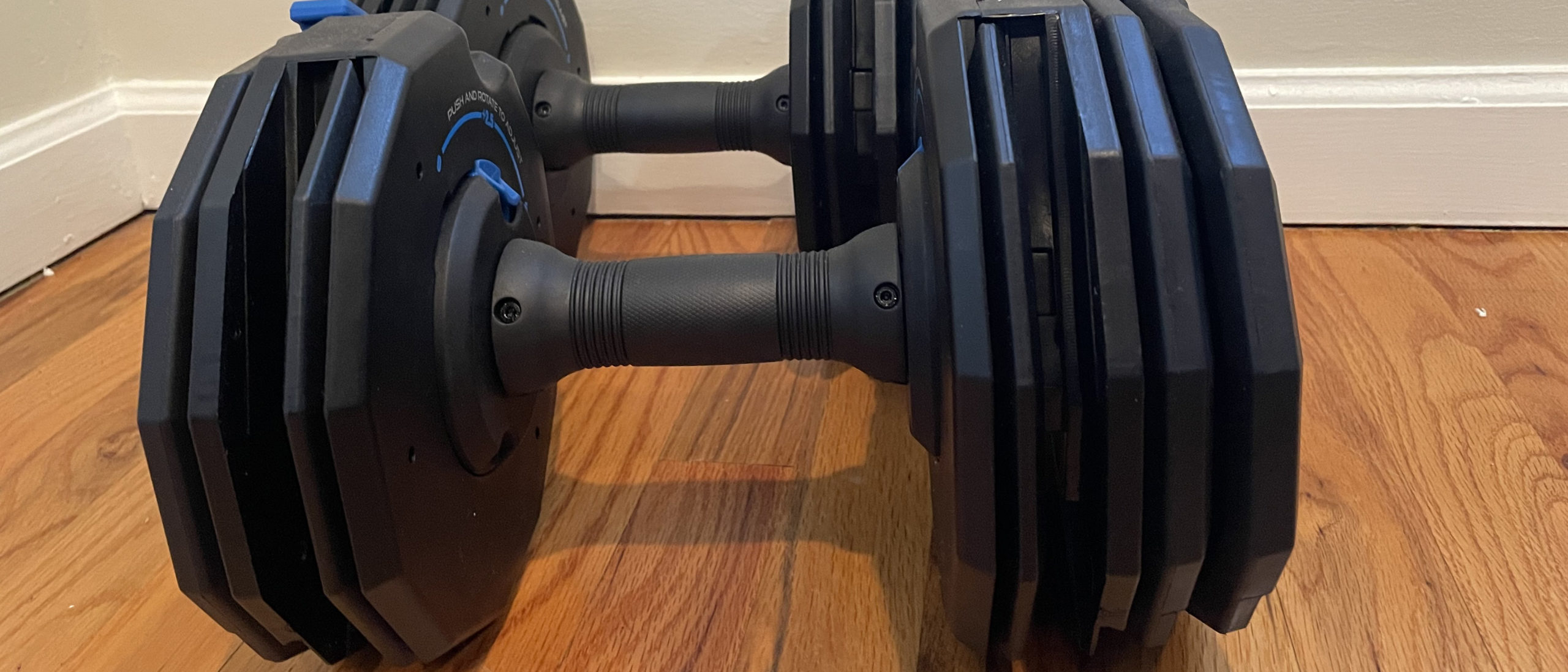 NordicTrack Have-A-Weight review