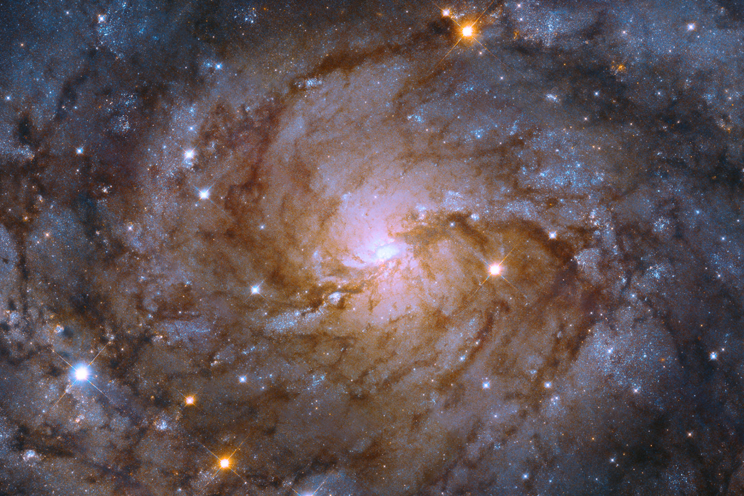 Hubble exact captured an image of a galaxy hiding on the lend a hand of our hang