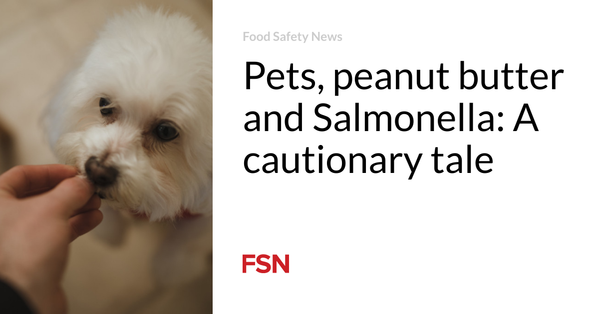 Pets, peanut butter and Salmonella: A cautionary account