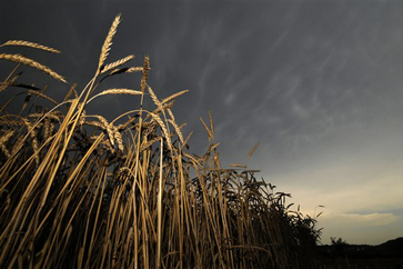 UN had ‘positive’ talks in Moscow on Russian grain exports