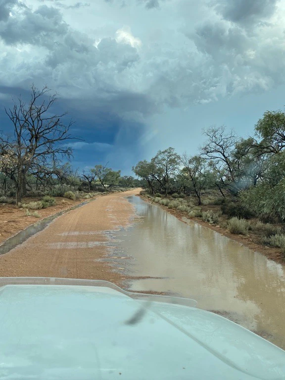 From drought to drenching rain: South Australian farmers optimistic about future after ‘handiest rain in years’