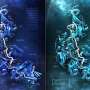 Neuroscientists enlarge CRISPR toolkit with novel, compact Cas7-11 enzyme