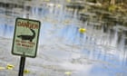 Man dies attempting to search out Frisbees in Florida lake amid alligator warnings