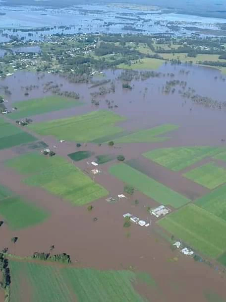 NSW soybean farmers undergo carve wipe-out from ‘catastrophic’ floods