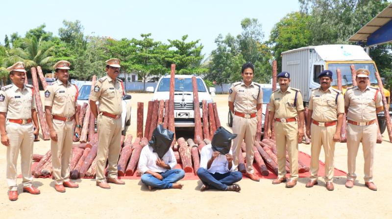 ‘Pushpa’ vogue red sanders smuggler caught in Andhra Pradesh