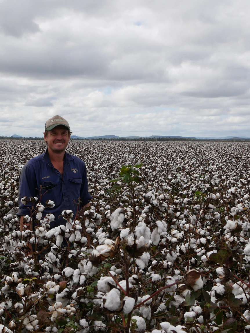 Contemporary threads: Central Queenslanders swap cattle for cotton