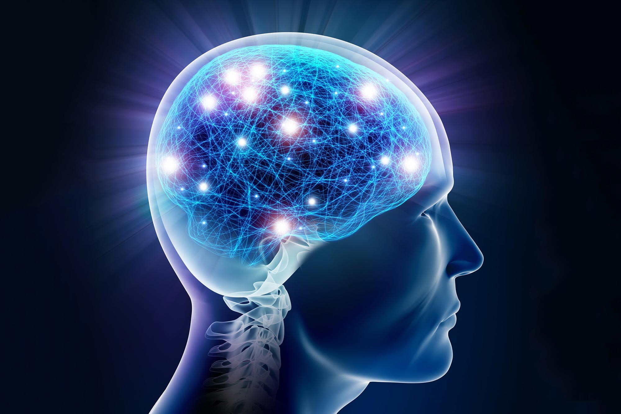 This Key Protein Is Main for Brain Cell Longevity and Development
