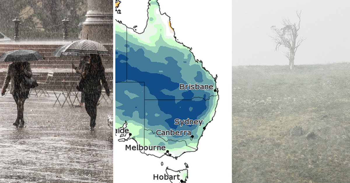 Chilly, dry, moist or windy: What the comfort of cold climate has in retailer for Australia – 9News