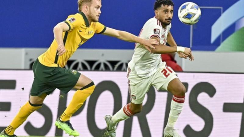 Socceroos inexperienced persons galvanize Ryan in steal