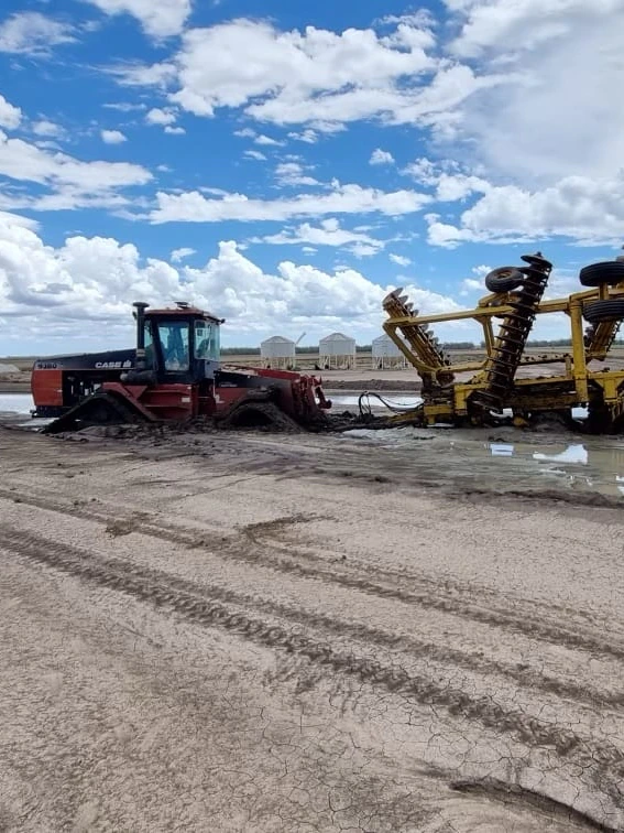 Cotton nick delayed as ‘one-in-30-yr’ moist cycle leaves properties ‘hammered’