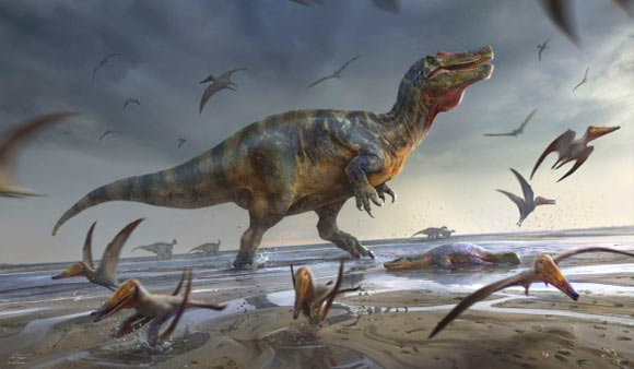 Unusual Spinosaurid Dinosaur Unearthed on Isle of Wight