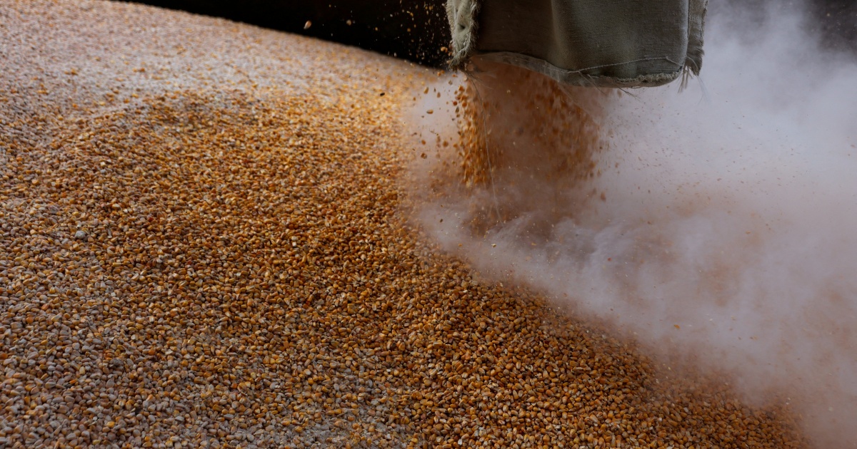 Is Russia stealing and selling grain from Ukraine?