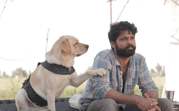 ‘777 Charlie’ movie review: A heartfelt use on a charming friendship