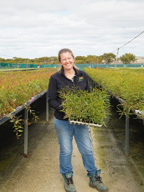 Predict label over ‘integrity’ of Australia’s carbon offset map as tree nurseries inundated with orders