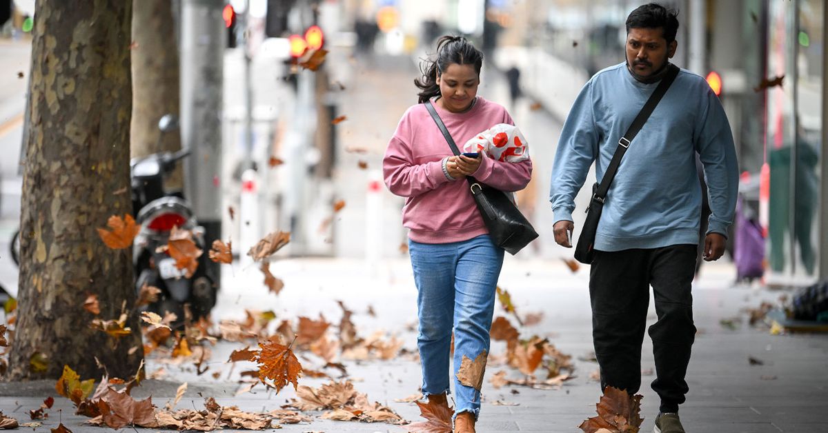 Icy gusts of wind to ravage south-east hover of Australia – 9News