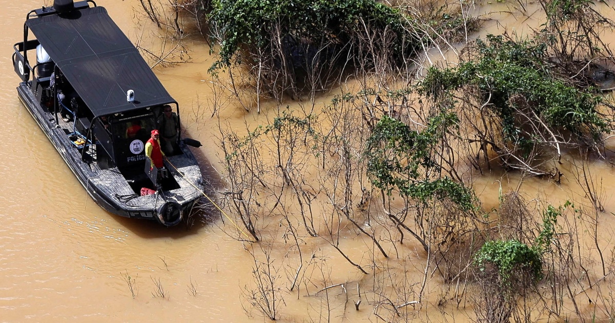 Brazil finds ‘organic field subject’ in Amazon hunt for missing males