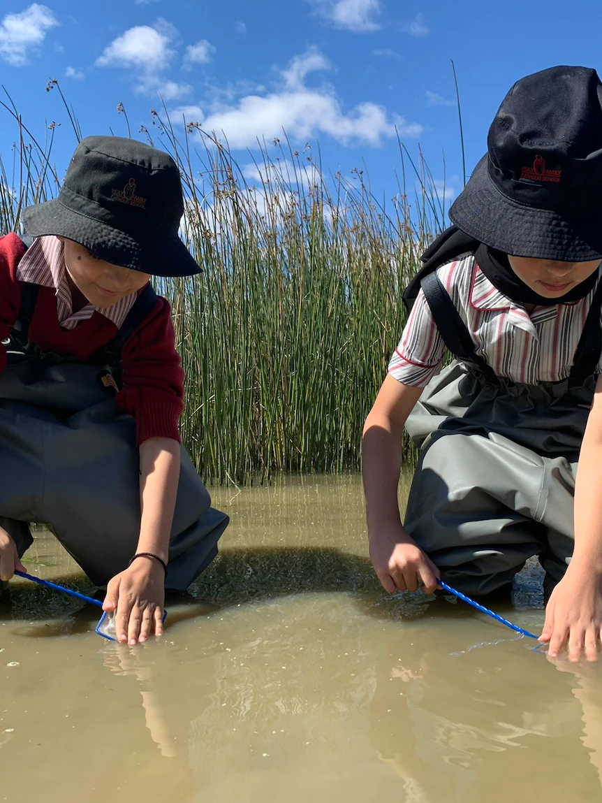 College of fish: How a palms-on program is participating students and helping set up a species from extinction