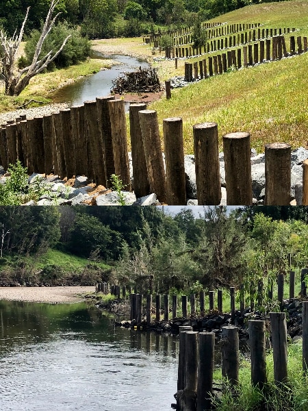 How a degraded river became once restored so neatly it has shrugged off three floods this Three hundred and sixty five days