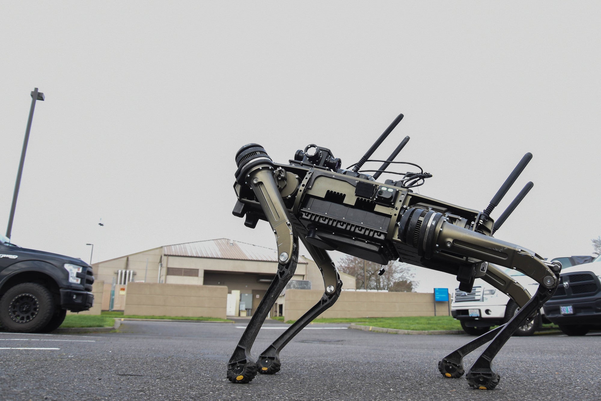A new tail accent propels this robotic dogs all over streams